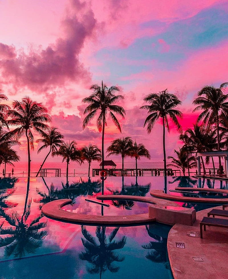Exotic vacation, bonito, nature, ocean, palm trees, palms, pink skies, pools, serene, water, HD phone wallpaper
