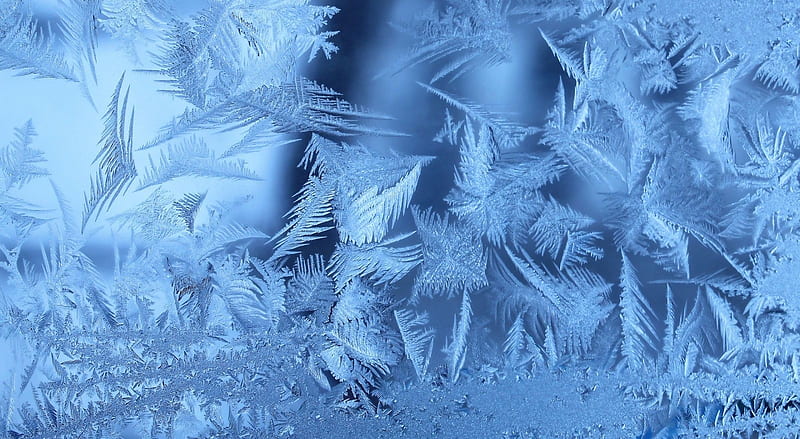 Frost, graphy, abstract, frozen, winter, cold, frosty, iceflower blue, HD wallpaper