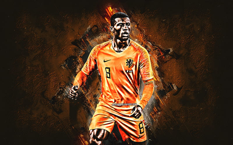 Georginio Wijnaldum, Dutch soccer player, Netherlands national football team, portrait, football, creative art, HD wallpaper