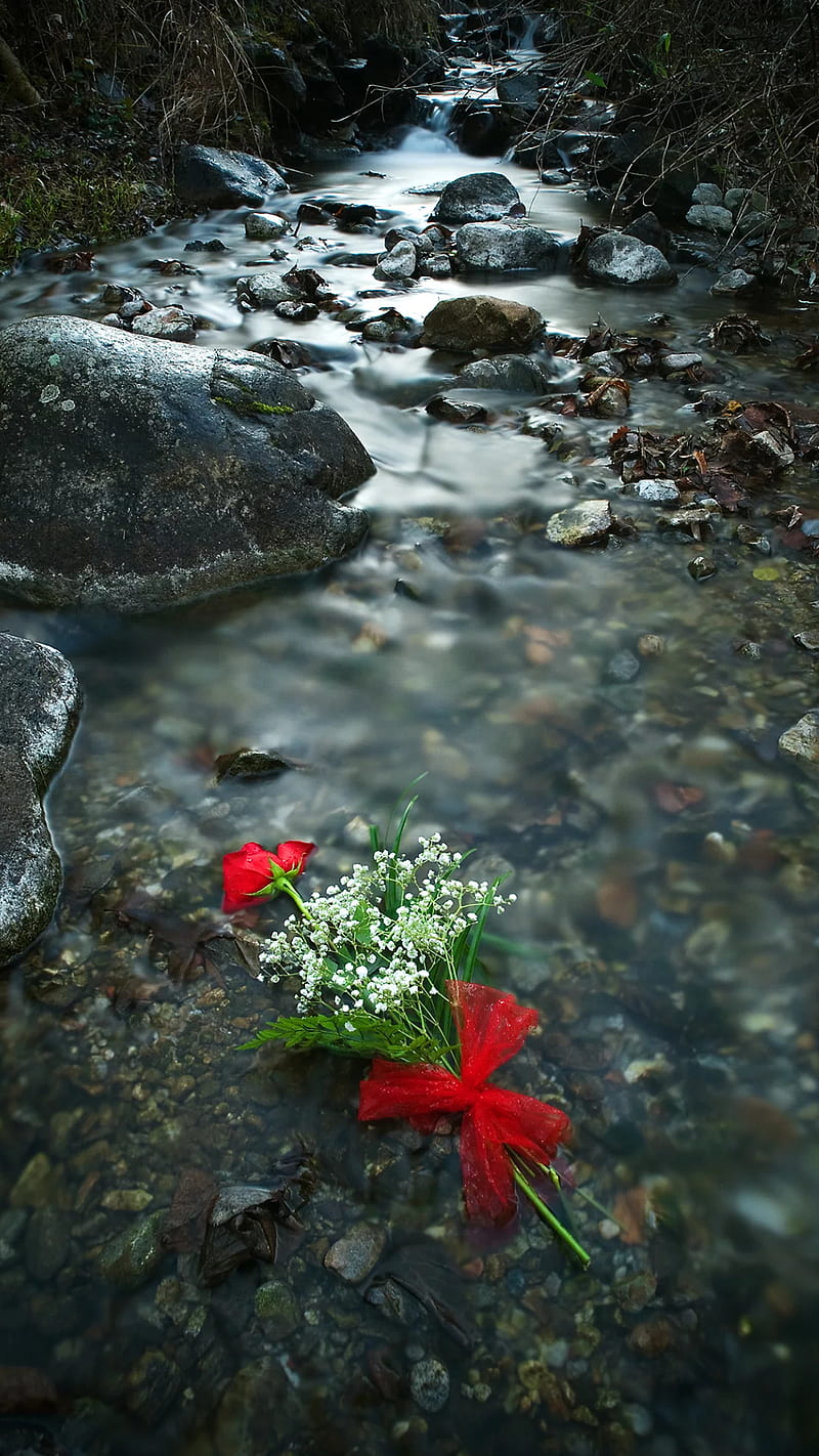Broken heart, river, stones, water, red, rose, love, HD phone wallpaper