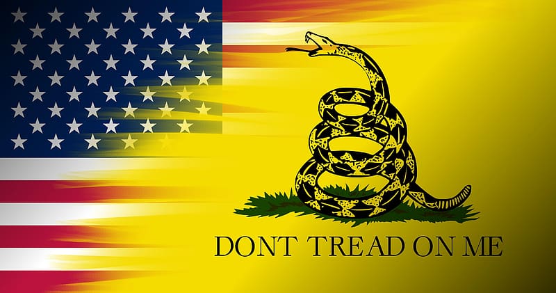 Flags, Misc, Gadsden Flag, HD wallpaper