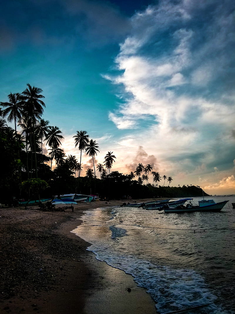 Toco, trinidad, nature, beach, caribbean, HD phone wallpaper