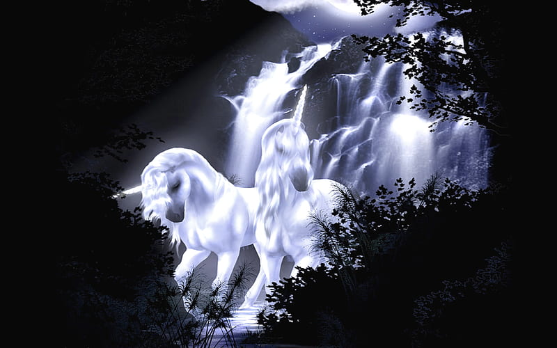 unicorns, forest, race, unicorn, white, horse, HD wallpaper