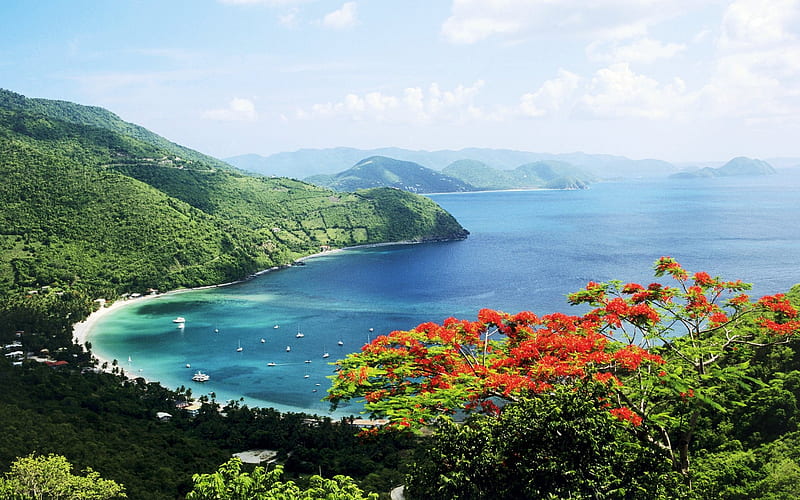 Virgin Islands Tortola Cane Garden Bay, HD wallpaper