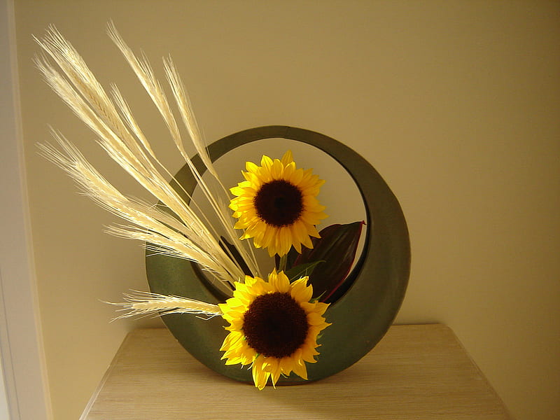 ikebana, still life, flowers, sunflowers, HD wallpaper