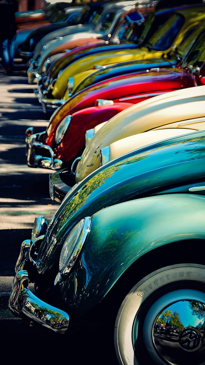 Old Beetles, auto, awesome, beetle, car, cool, nice, ok, vintage, HD phone wallpaper