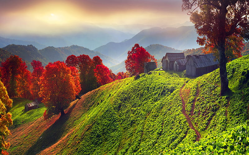 Carpathians mountains, autumn, hut, sunset, Ukraine, Europe, HD wallpaper