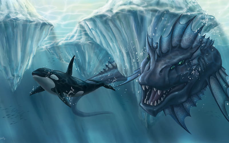 49 Sea Creatures Wallpaper  WallpaperSafari