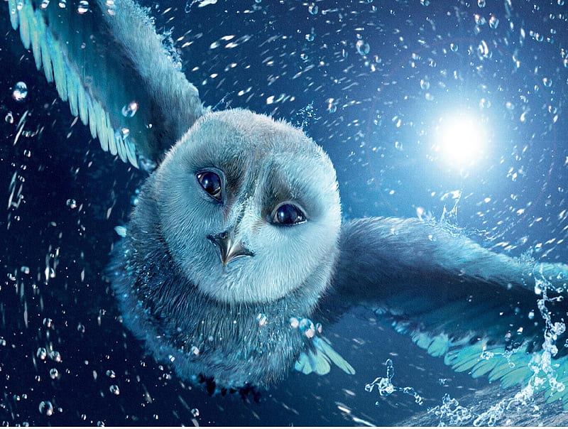 Hedwig Harry Potter HD Wallpapers and Backgrounds