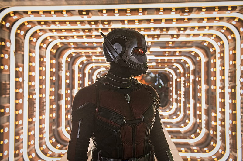 Ant Man And The Wasp Movie , ant-man-and-the-wasp, ant-man, 2018-movies, movies, HD wallpaper