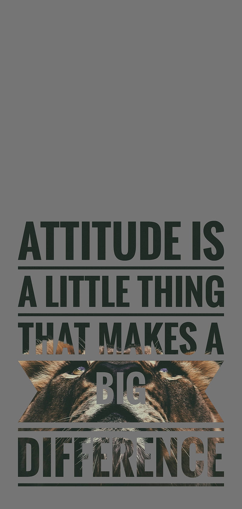 Quotes, attitude, lion, HD phone wallpaper