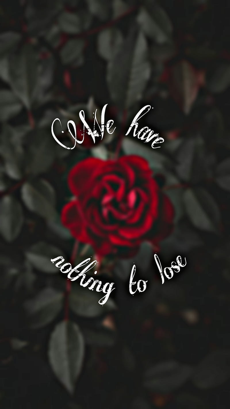Nothing to lose, dirty, dont, flowers, inspiration, life, love, mind, red, rose, vida, HD phone wallpaper