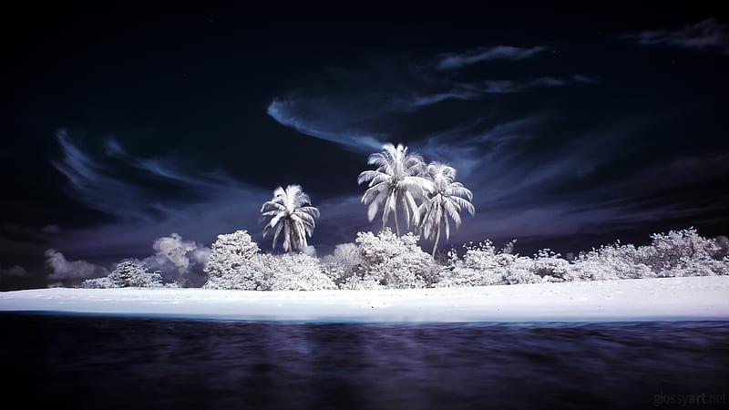 Winter island, luminos, craciun, christmas, creative, sea, winter, beach, fantasy, water, snow, island, white, frozen, palm tree, blue, HD wallpaper