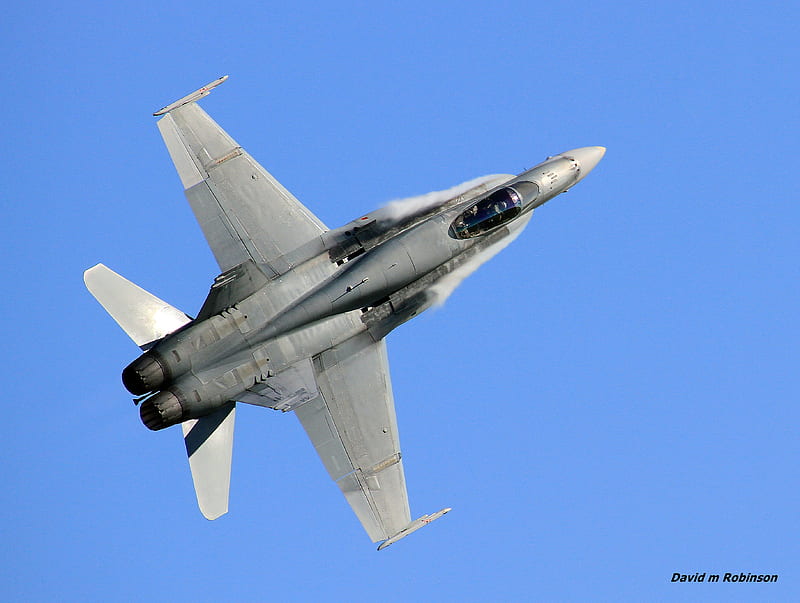f-18 hornet, jets, f-18, australian, military, raaf, hornets, HD wallpaper