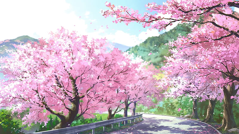 Anime Sakura Trees HD Wallpapers  Wallpaper Cave