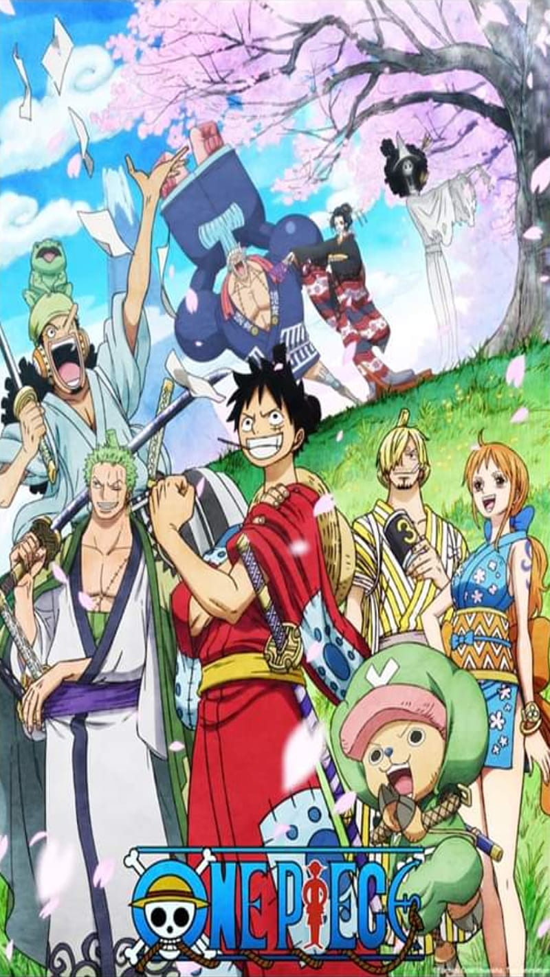 One Piece - Brook - Franky - Jinbei - Luffy - Nami - Robin - Zoro