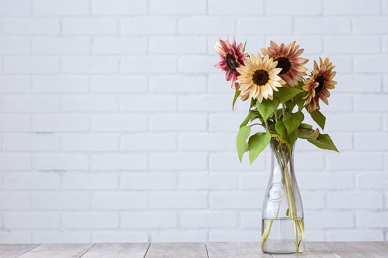 sunflower, flowers, vase, bouquet, HD wallpaper