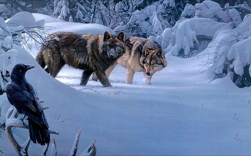 Winter Wolves, raven, artwork, predators, aven, painting, animals, snow, trees, HD wallpaper