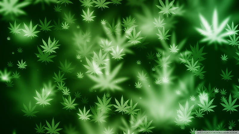 Weed Leaves Weed, HD wallpaper