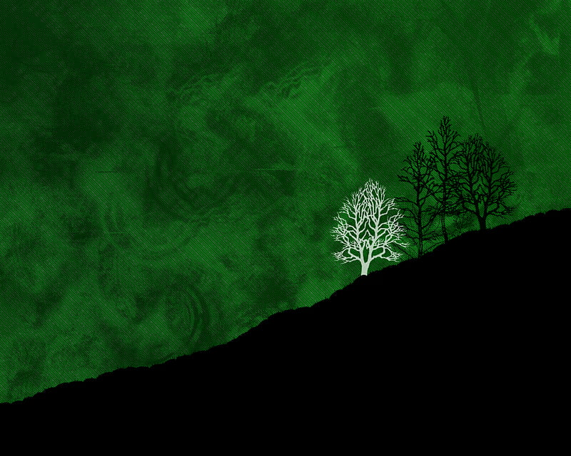 Black And Neon Green Background 2 amagico [] for your , Mobile & Tablet. Explore Dark Green . Dark Green for Walls, Dark, Green Black and White, HD wallpaper