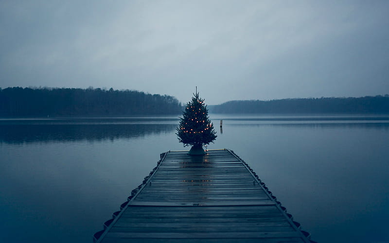 Christmas Tree On Pier, christmas, pier, nature, graphy, HD wallpaper