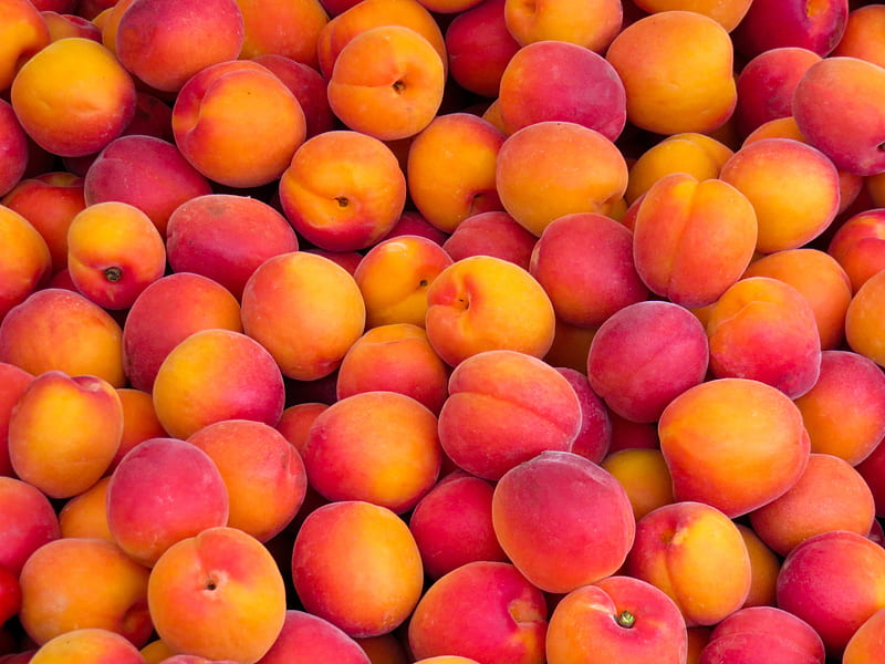 peach, fruits, sweet, Food, HD wallpaper