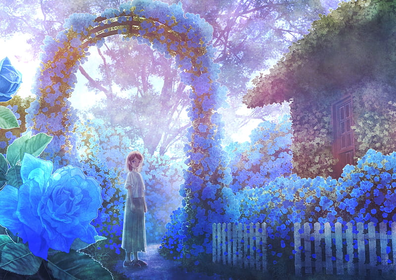 Rose garden, rose, girl, anime, manga, flower, garden, kupe, blue, HD wallpaper