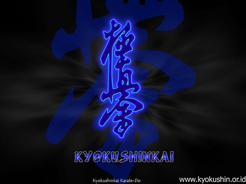 Kyokushinkai, japanese, background, black, blue, karate, HD wallpaper |  Peakpx