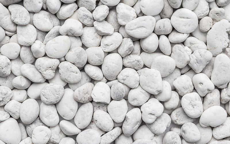 white pebbles macro, white stone texture, pebbles backgrounds, white pebbles texture, gravel textures, pebbles textures, stone backgrounds, white stones, white backgrounds, pebbles, HD wallpaper