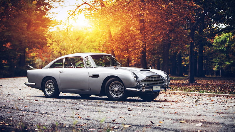 Aston Martin DB5, Oldtimer, Forest, Gray, carros, Sunset, Classic, Car, Aston Martin, Autumn, Classic car, HD wallpaper