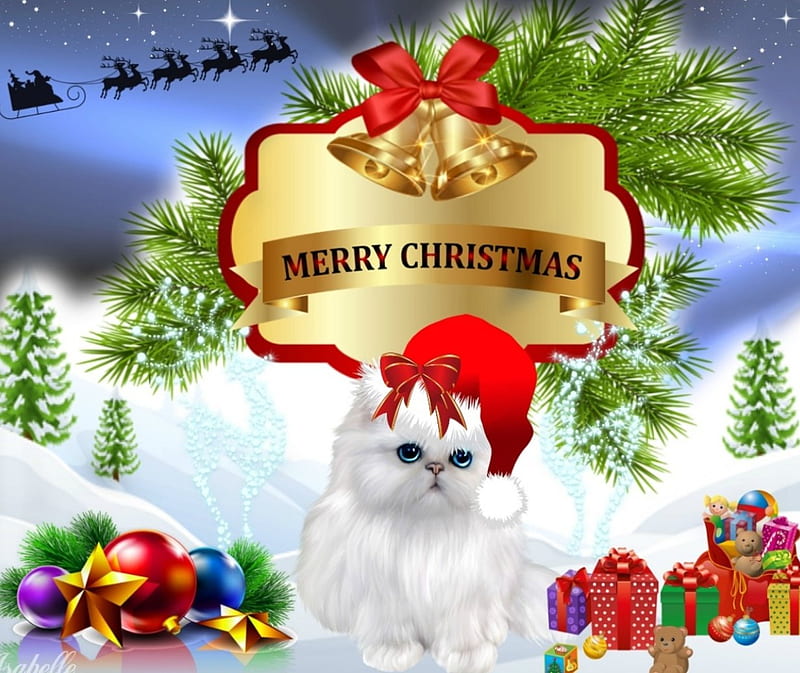 MERRY CHRISTMAS Season's Greetings , Christmas Eve, Greetings, Holidays, Merry Christmas, Santa Claus, Sweet, Winter, Decoration, Gifts, Cat, Kitty, Snow, Season, Night, HD wallpaper
