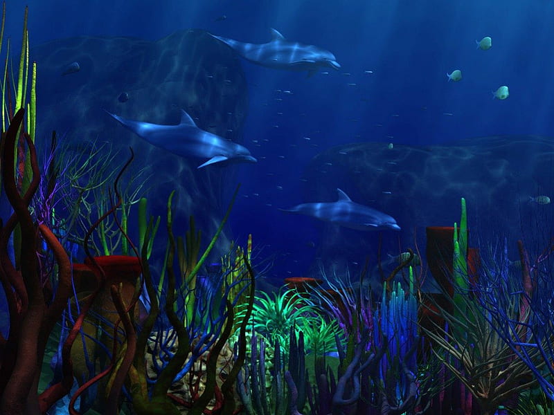 dolphins, under water, swiming, ocean, animals, sea, blue, light, HD wallpaper