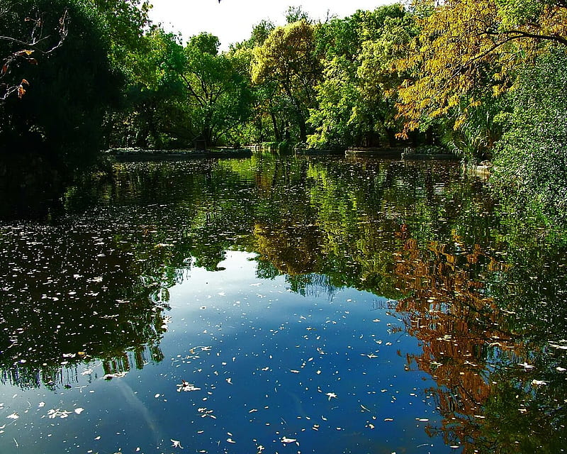 Reflejos en el estanque, pond, reflection, HD wallpaper