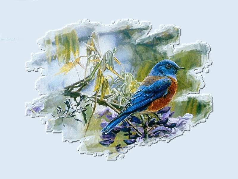 Eastern Bluebird 1, art, redbreast, birds, bluebird, tree, avian, painting, summer, song bird, HD wallpaper