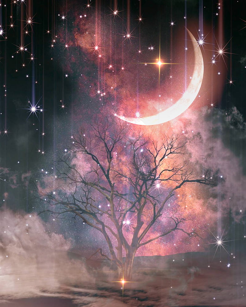 good night moon stars