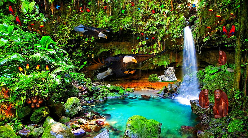 Beautiful waterfalls, monkey, water, bird, plants, waterfall, nature,  animals, HD wallpaper | Peakpx