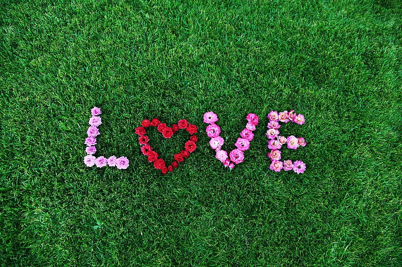 LOVE Flower Art, love, flowers, i-love-you, art, HD wallpaper