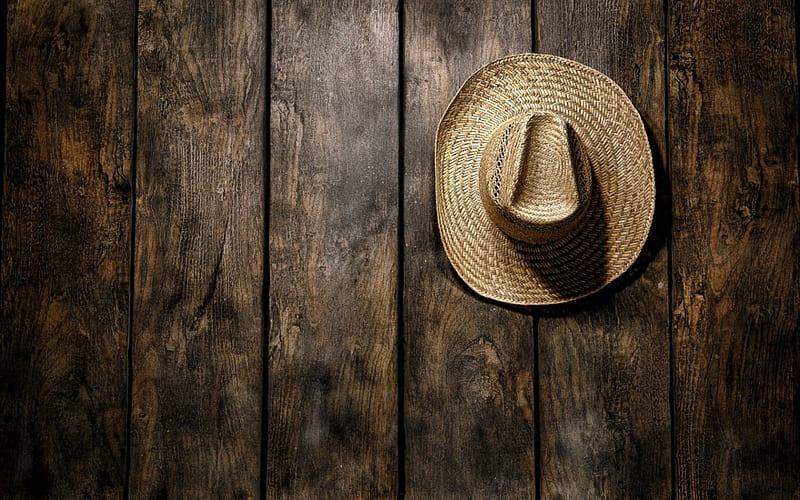 Cowboy hat, brown, texture, cowboy, wood, hat, HD wallpaper