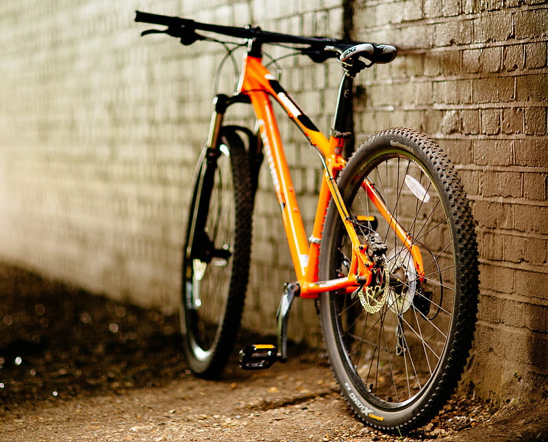 bicycle 11 , bianchi, bicycle, bike, HD wallpaper
