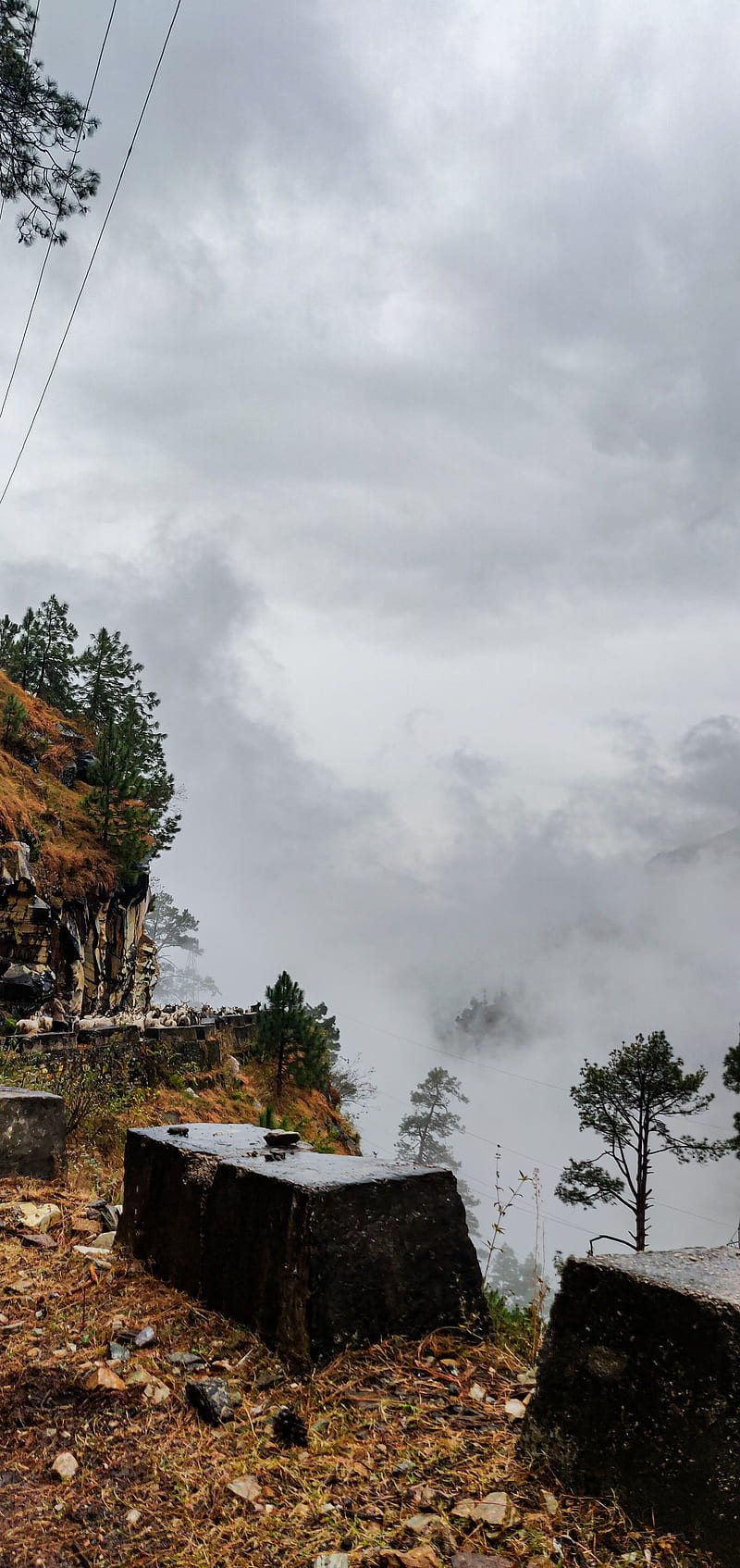 Above the clouds, bonito, clouds, himachal pradesh, nature, paysage, road, tree, trees, HD phone wallpaper