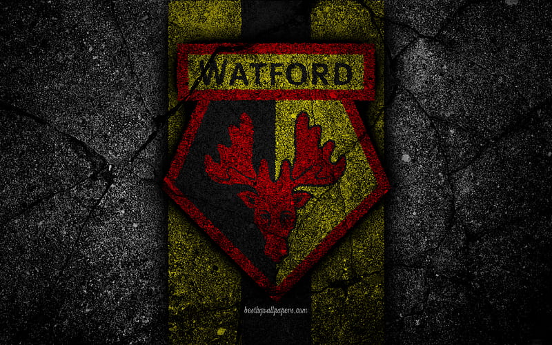 Watford FC logo, Premier League, grunge, England, asphalt texture, Watford, black stone, soccer, football, FC Watford, HD wallpaper