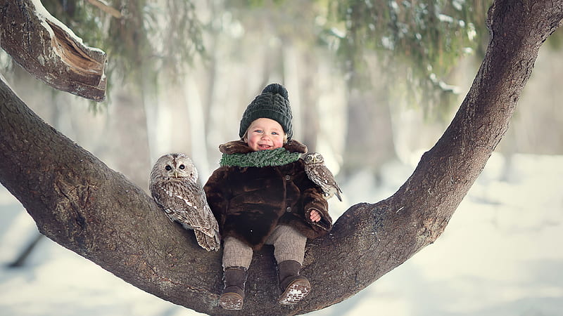 Cute Baby Boy Is Sitting On Tree Trunk With Owl Wearing Woolen Muffler And Cap And Brown Soft Jerkin Cute, HD wallpaper