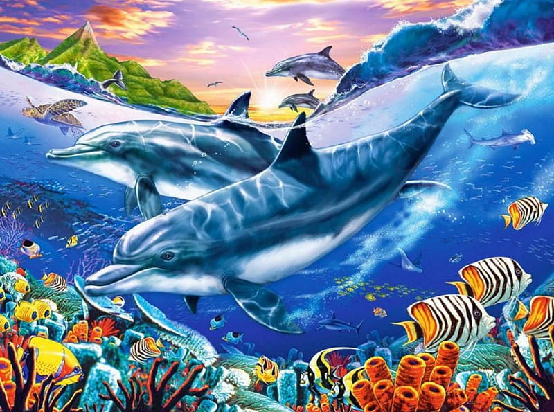 Dolphins, corals, underwater, fish, colors, sealife, HD wallpaper