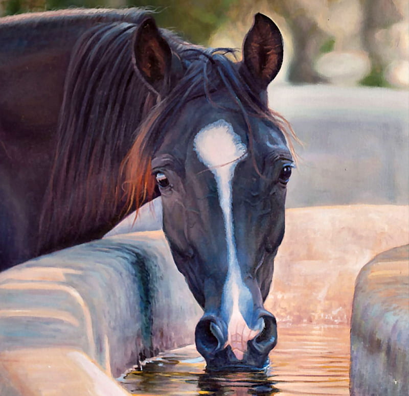 Bay Horse Head, art, equine, bonito, horse, illustration, artwork, animal, painting, wide screen, HD wallpaper