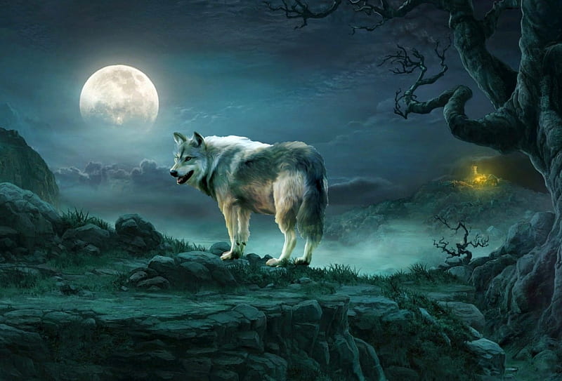 Full moon, WOLF, moon, NIGHT, LONELY, HD wallpaper