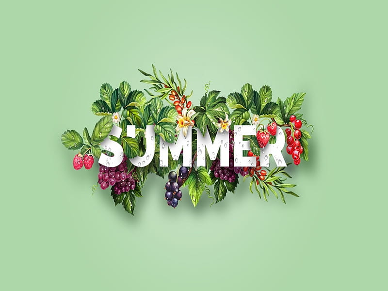 Tropical Summer, Vector, Graphics, Art, Berries, HD wallpaper | Peakpx