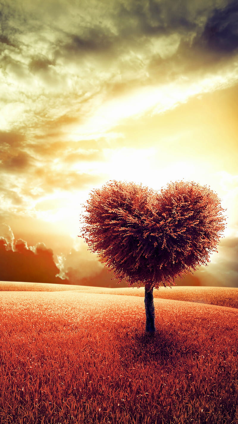 Love tree, cloud, field, heart, nature, forma, sky, HD phone wallpaper