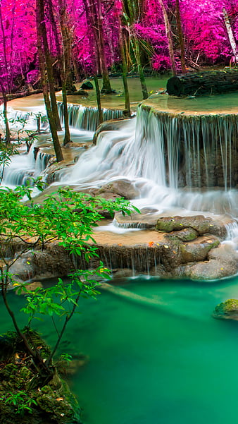 Waterfall And Lush Green Plants Stock Photo - Download Image Now - Beauty,  Beauty In Nature, Branch - Plant Part - iStock