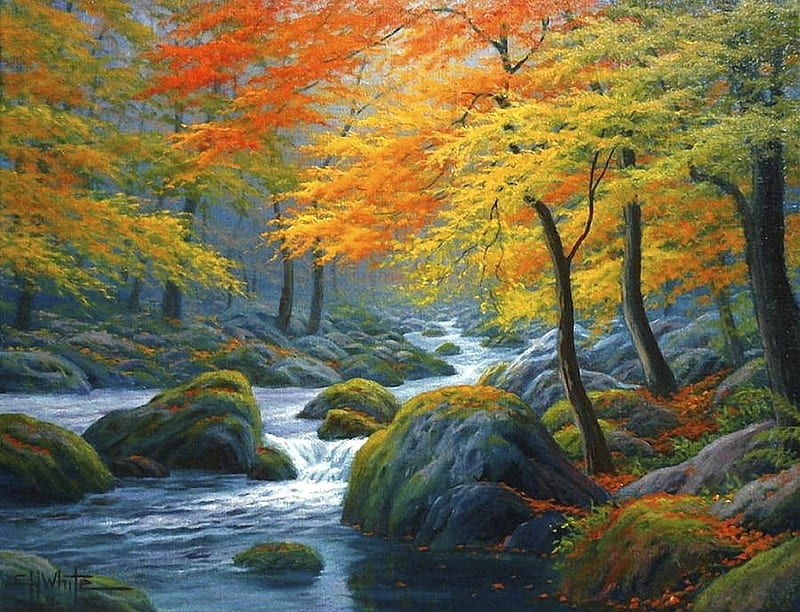 Autumn colors, forest, colorful, autumn, lovely, bonito, creek, tree ...
