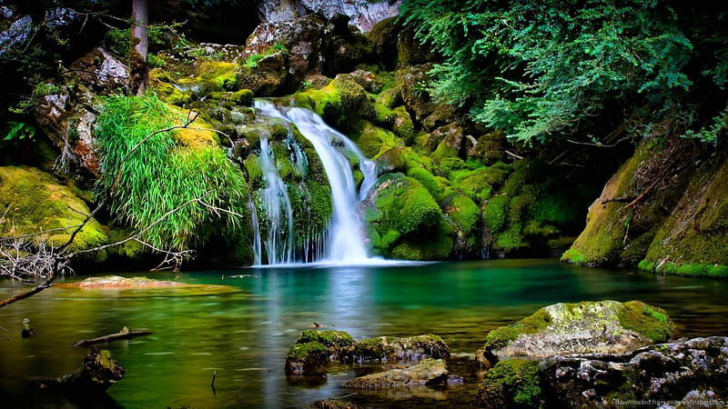 Cielo en la tierra, bosque, cascada, naturaleza, río, Fondo de pantalla HD  | Peakpx